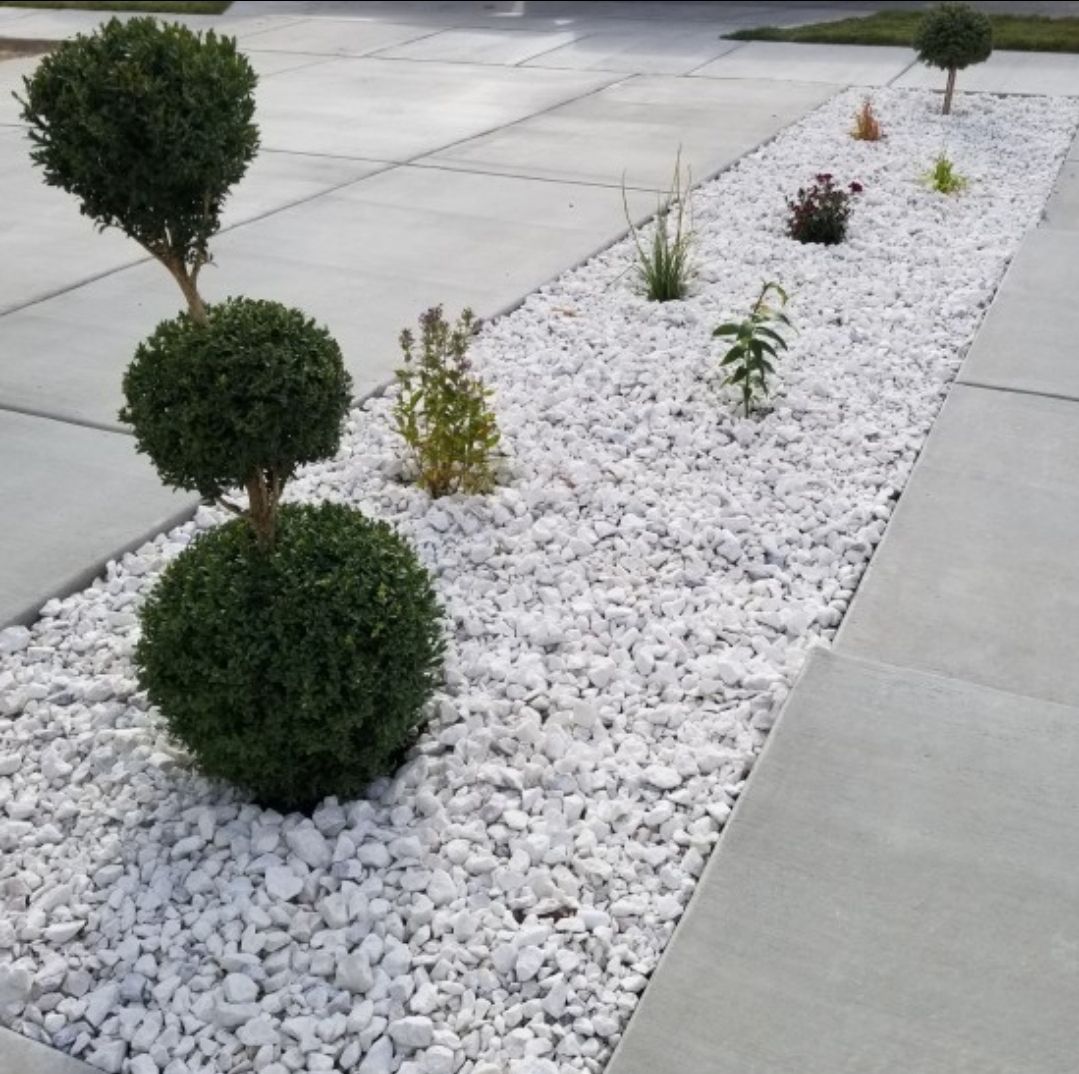 White Decorative Pebbles | Enhance Your Garden & Home (1KG)