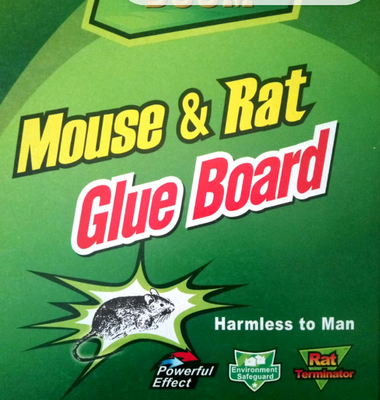 Mouse glue board big