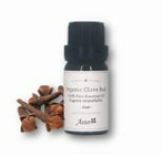 Essential oils Aromatherapy essential oils clove1 piece