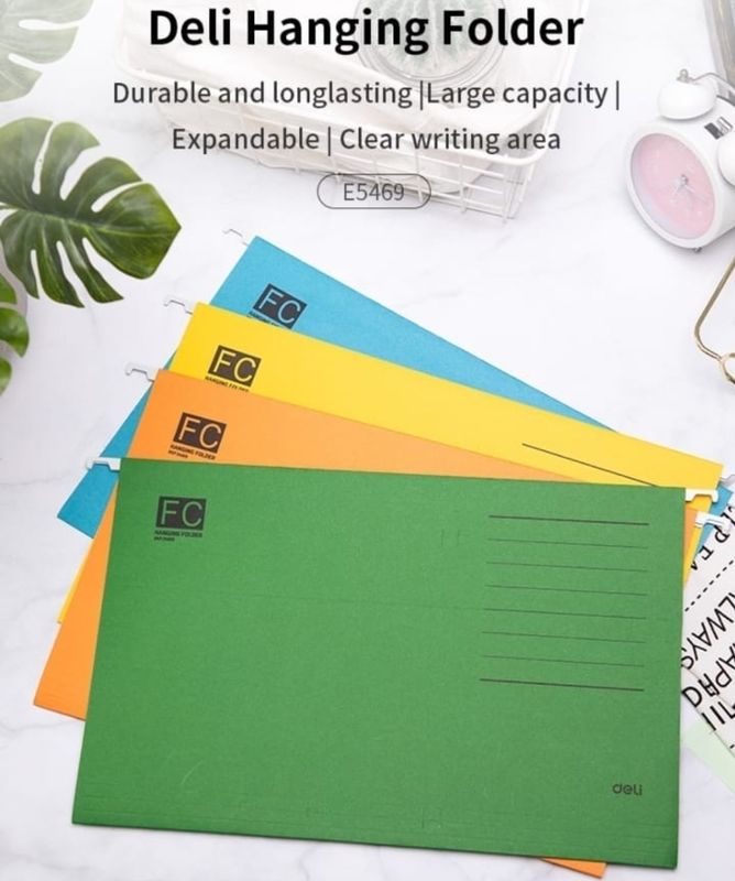 DELI E5469 FC SUSPENSION FILE - ASSORTED COLORS