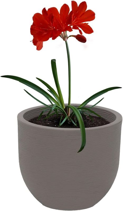 Tramontina Laos Plant Pot Plastic Planter 38 cm Concrete Colour