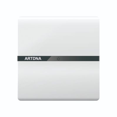 ART DNA A38-K19 ART 10AX 1 Gang Intermediate Switch (W)