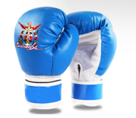 Boxing Gloves For Junior Blue With Invincible Print BOX-GLV-JNR
