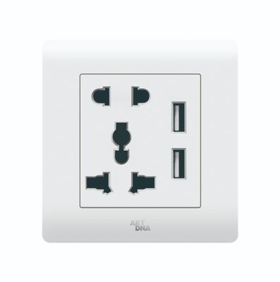 ART DNA A38-C06E16 ART 2 Pin / 3 Pin Universal Socket With 1A USB Port (W)