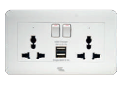 ART DNA A38-C43E24 ART 16A Twin Switched Socket With 2USB Port (W)