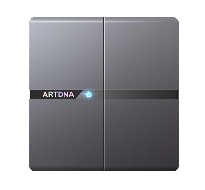 ART DNA A63-K02B-GR ART 10AX 2 Gang 2 Way Switch (GR)