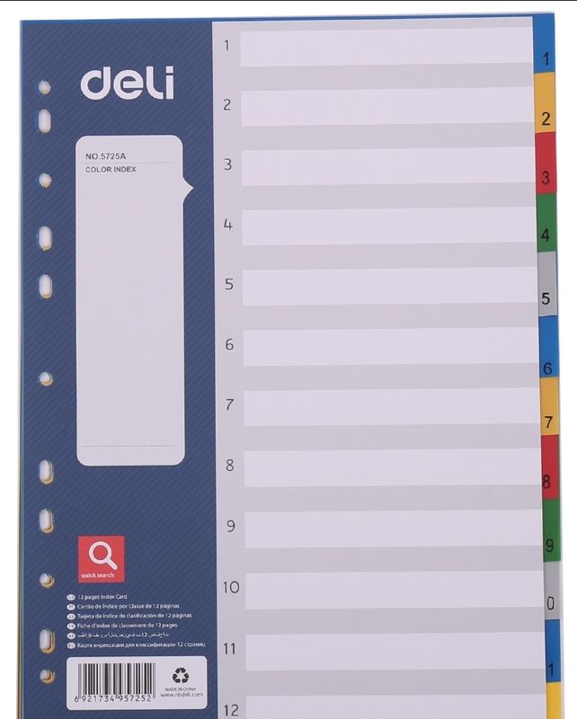 DELI A4 File Dividers | 10 Tabs, Assorted Colors, Durable PVC (E5725A)