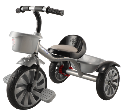 ToyZoy Tricycle TZ-585