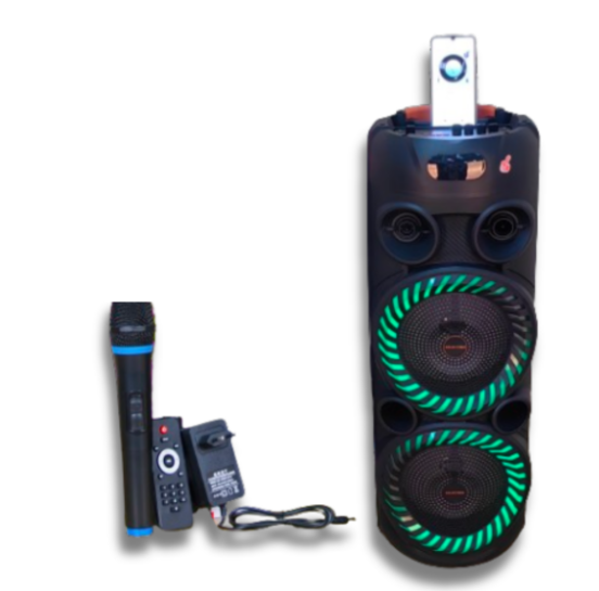 Euroken KOLAV-F2805 New Dual 8inches outdoor portable super bass led speakers