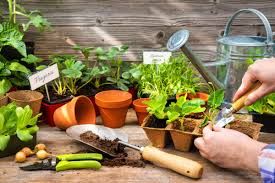 Gardening Supplies Sale