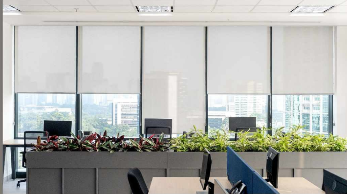 Blackout Roller Blind Fabric(5080-1)