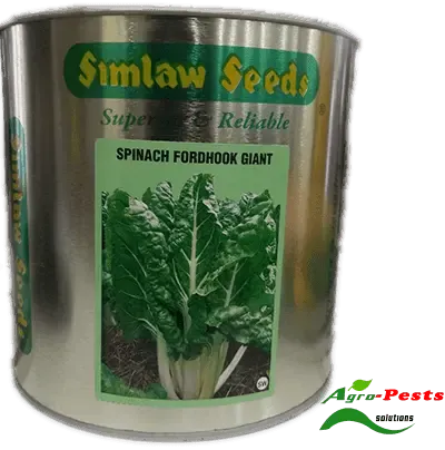 Seeds Spinach Fordhook Giant (Simlaw) 100g