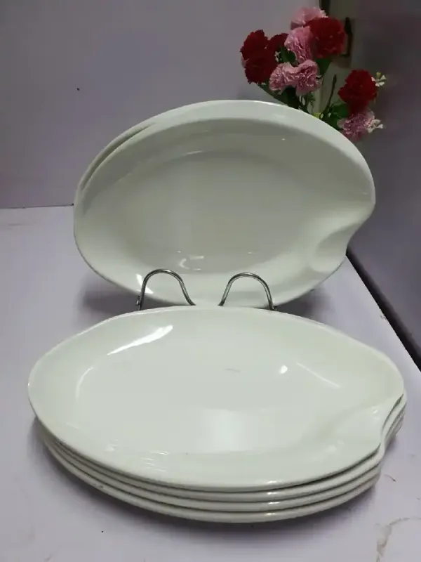 Sundabest 20-Piece 14-inch Ceramic Serving Platter Set (6636)