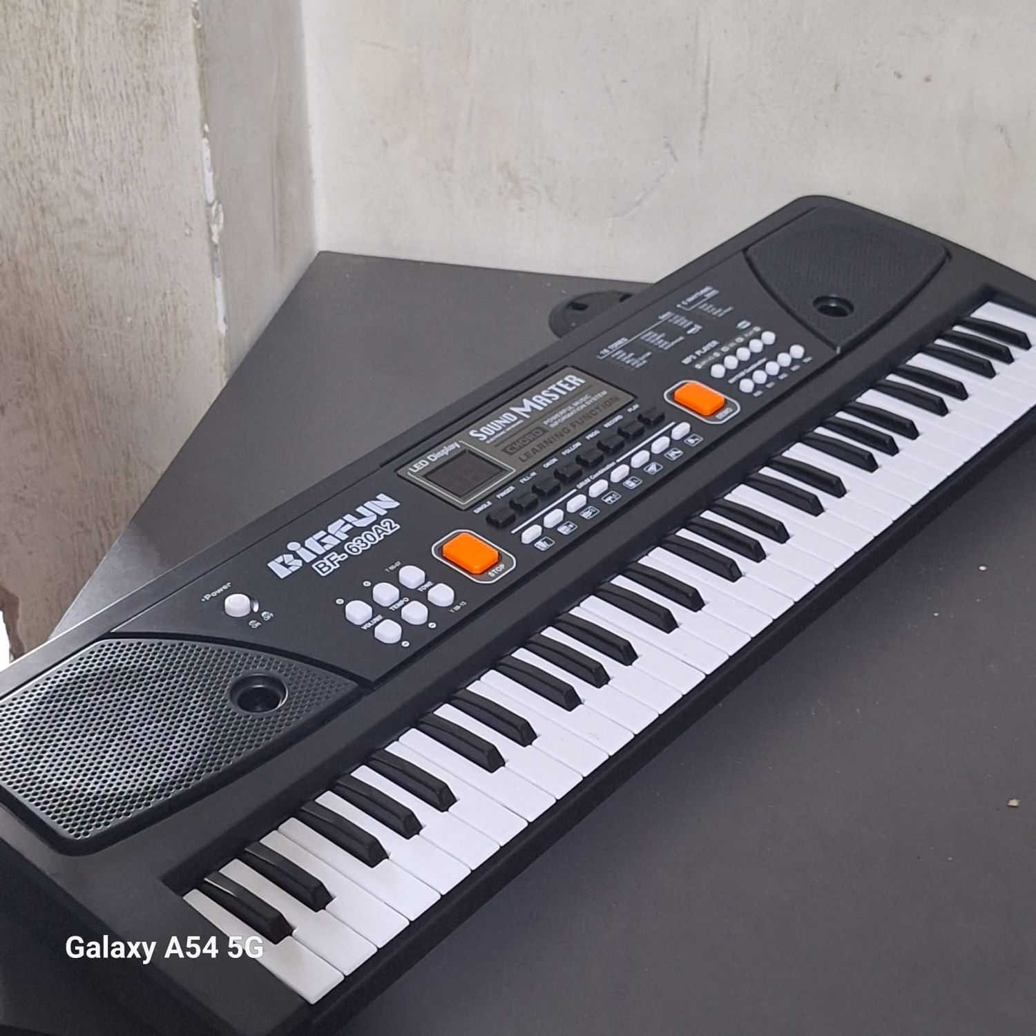 21-Key Electronic Keyboard