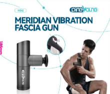 Pineyoune PY-18 Mini Meridian Vibration Fascia Gun