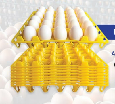 Styro Egg Trays - 60pcs, Stackable, Durable, Food-Grade Plastic