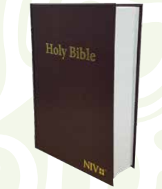 NIV Giant Print Holy Bible - Easy-to-Read Large Font