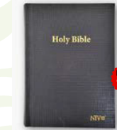 NIV Compact/Standard Hardcover PVC Bible