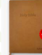 NIV Medium PU Bible with Index