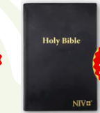 NIV Centre Column Reference Vinyl Flexicove Bible