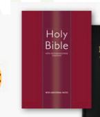 NIV Bible with Additional Notes