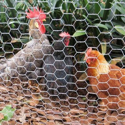 Chicken Wire Mesh 3/4&#39;&#39;x 3 Feet- 30m Roll (1827)