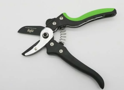 Pruning Shears