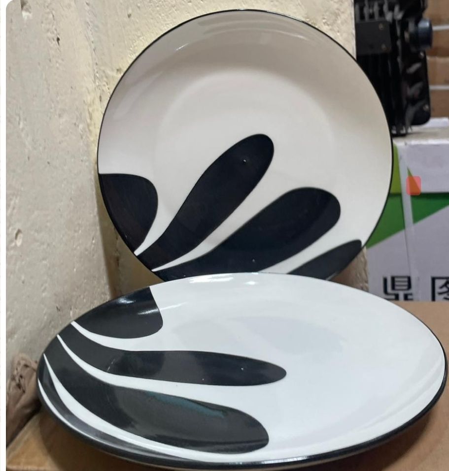Ceramic Dinne Plates 10.5 Inch 6 pcs Set (17775)