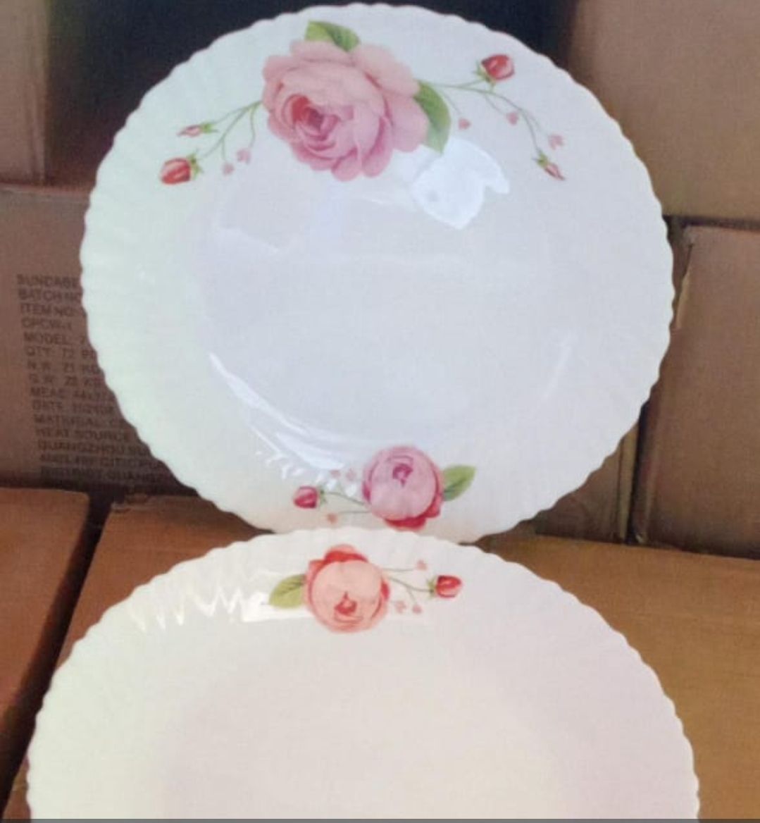 Ceramic Dinne Plates 10.5 Inch 6 pcs Set (16081)
