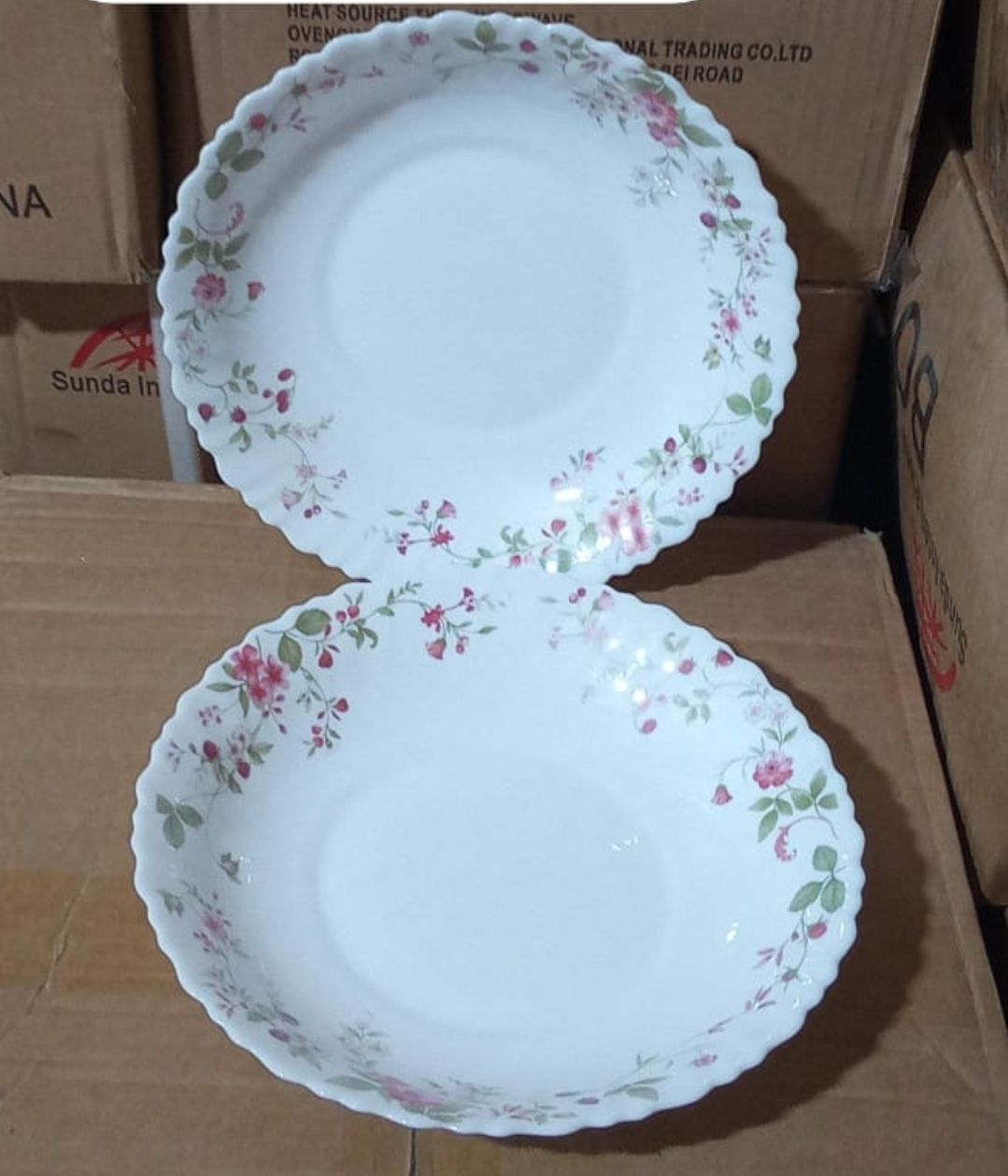 Ceramic Dinne Plates 9.5  Inch 6 pcs Set (16083)