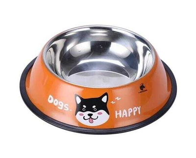 Stainless Steel Anti-Skid Dog Pot 22cm