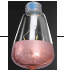 Win Win 4W E27 ST64 Filament LED Bulb, Warm White (ST-64-4W-WW-RD)