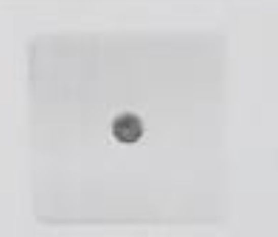 Safelite 1G TV socket SFL0019SS