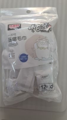 Compressed Towels 12pcs 24x30cm