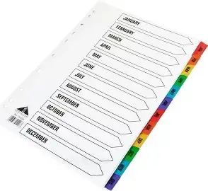 ESS FILE Dividers Jan to December (12 compartments)