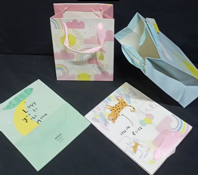 PARIS Adorable A5 Gift Bags with Cute Designs (KR 29695)