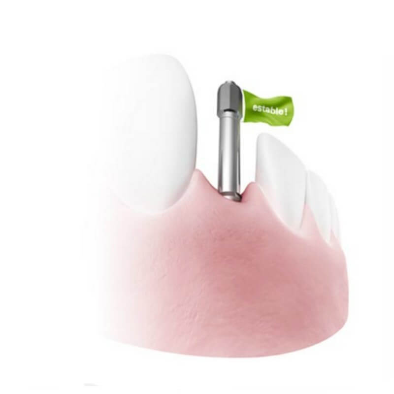 SmartPegs Osstell Pack 10 unidades W&H