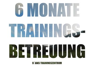 6 Monate Trainingsbetreuung