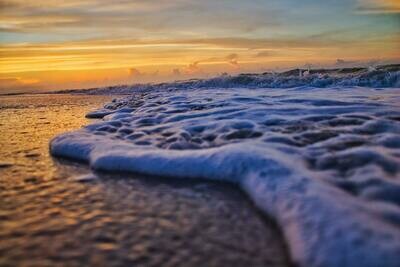 Sun, Salt and Sand Bars