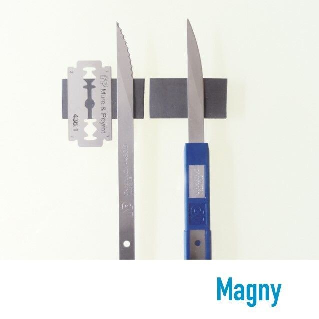 LE MAGNY