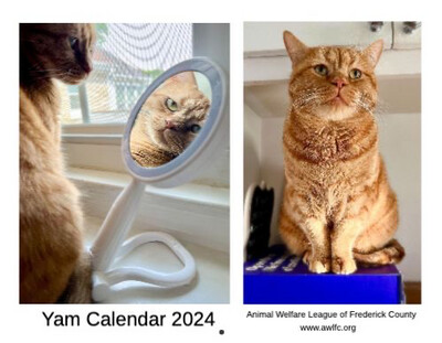2024 Yam Calendar