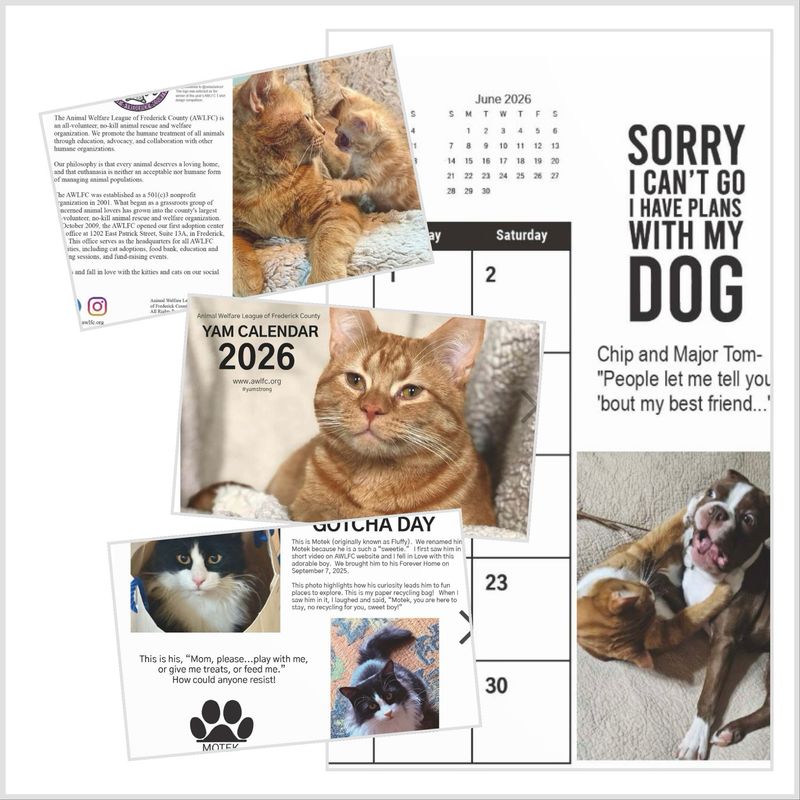 2026 Annual Yam Calendar