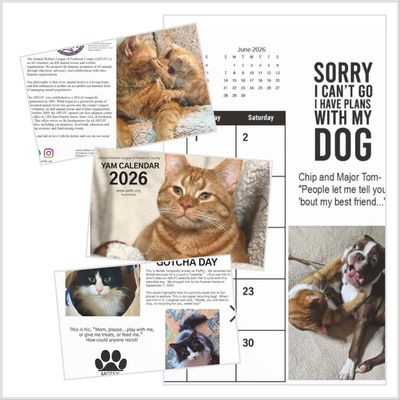 2026 Annual Yam Calendar 2026 Annual Yam Calendar