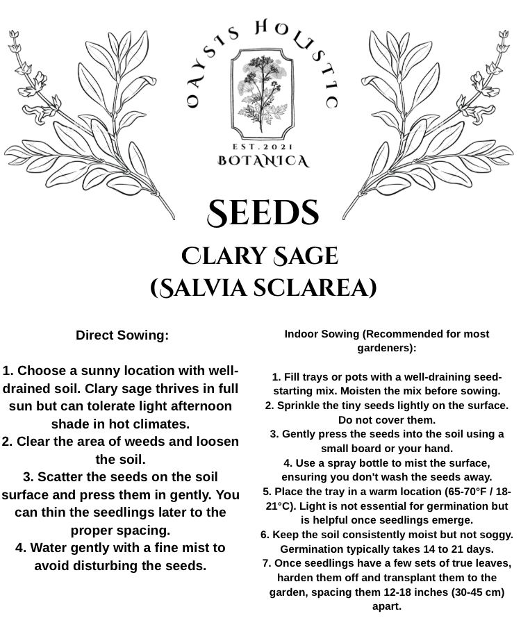 Clary Sage (Seeds)