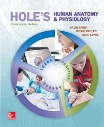 Illustrated Anatomy-Hole's Human Anatomy and Physiology