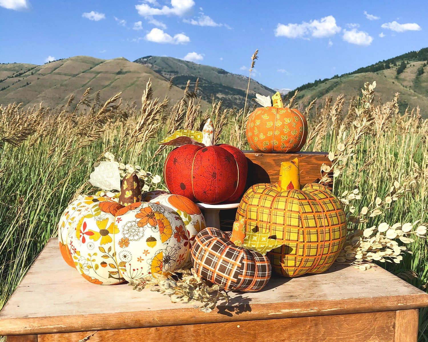 Pumpkin Patch Field Trip TK-2nd Grade