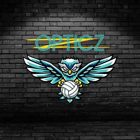 OPTICZ Volleyball