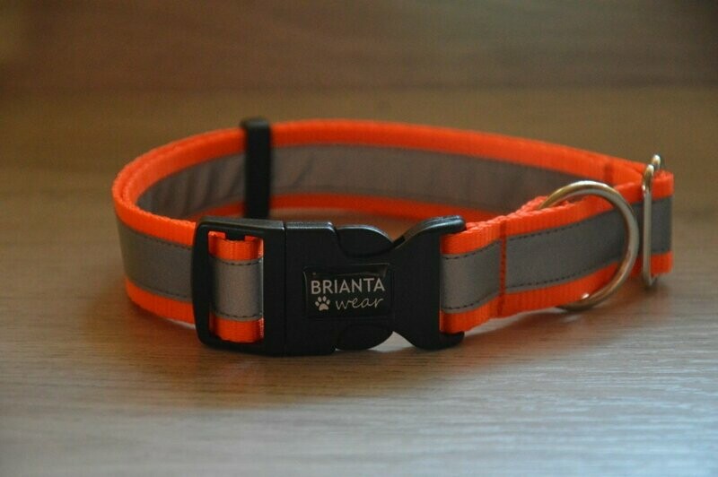 Reflex Basic Collar
