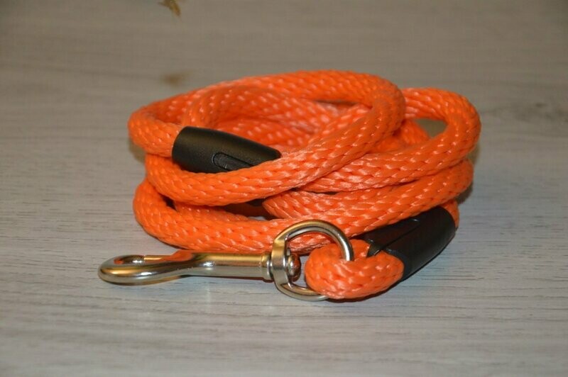 Clip Lead