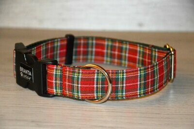 Small Cotton Collar